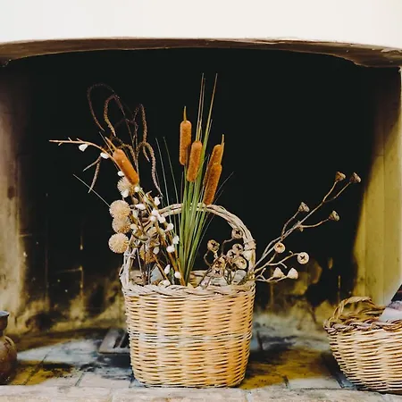 Sardegna Homes: L'asfodelo . Wifi . Ac Apartman Cagliari